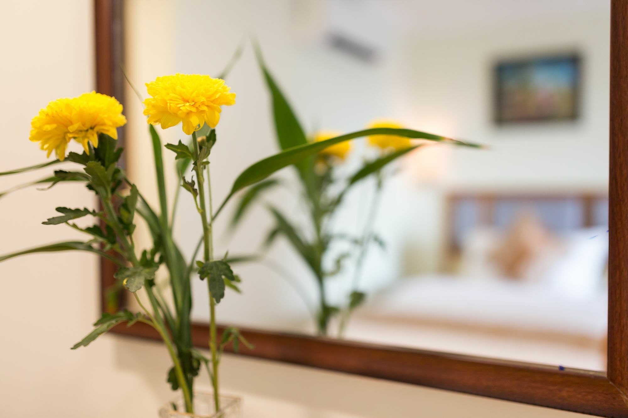 Grand Bayon Siem Reap Hotel Buitenkant foto